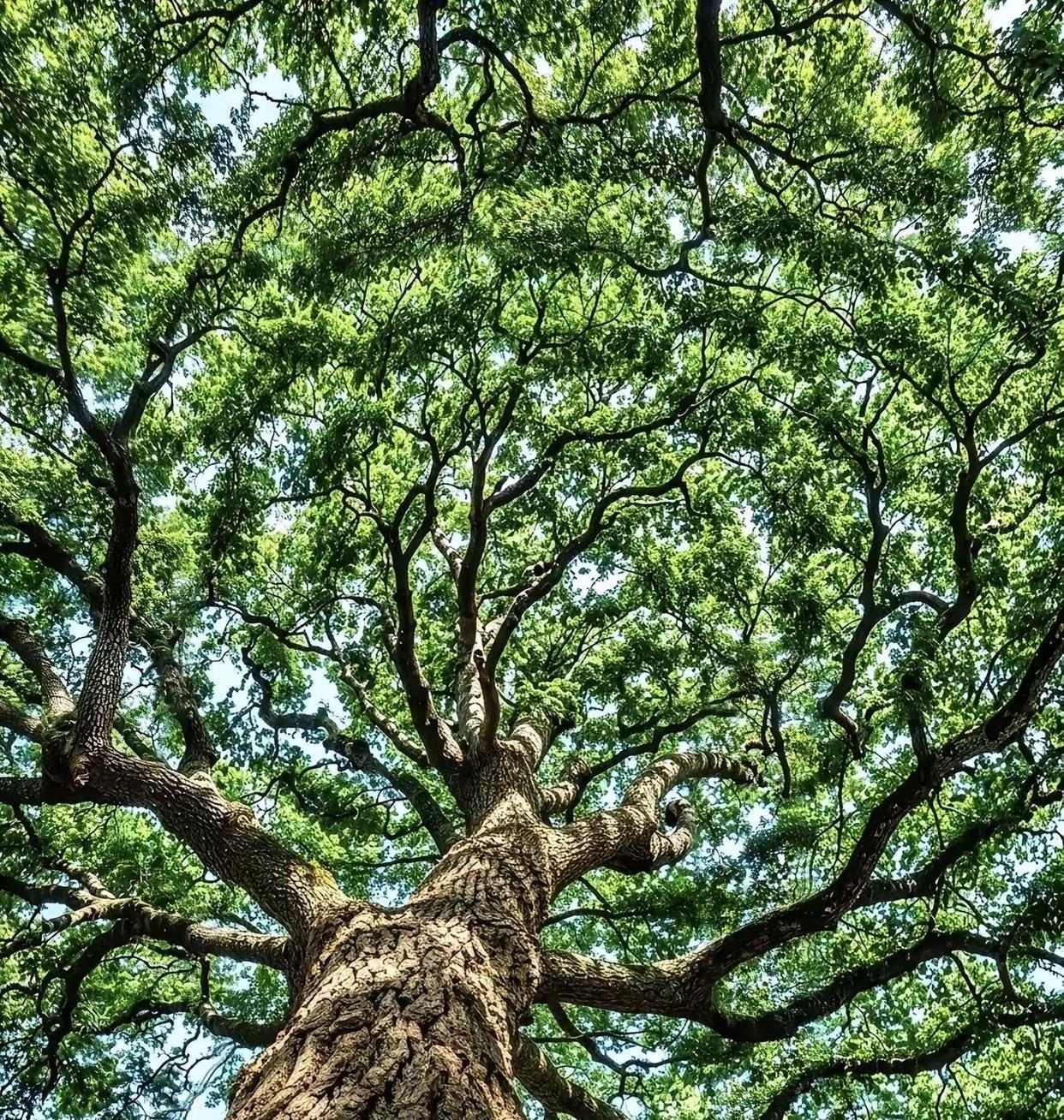下一个被干掉的将会是谁？
1、微信干掉了短信；
2、手机干掉了座机；
3、自媒体