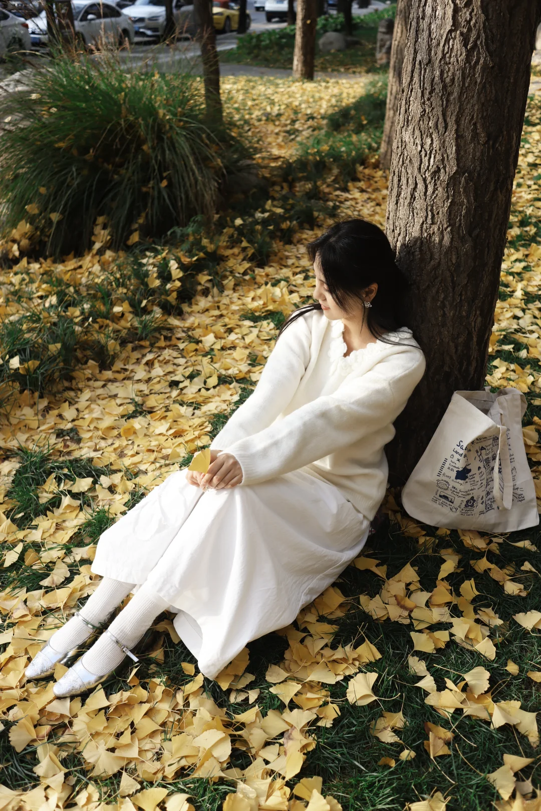 Plooooog.🌳🐿️🍂逛公园才是正经事呀