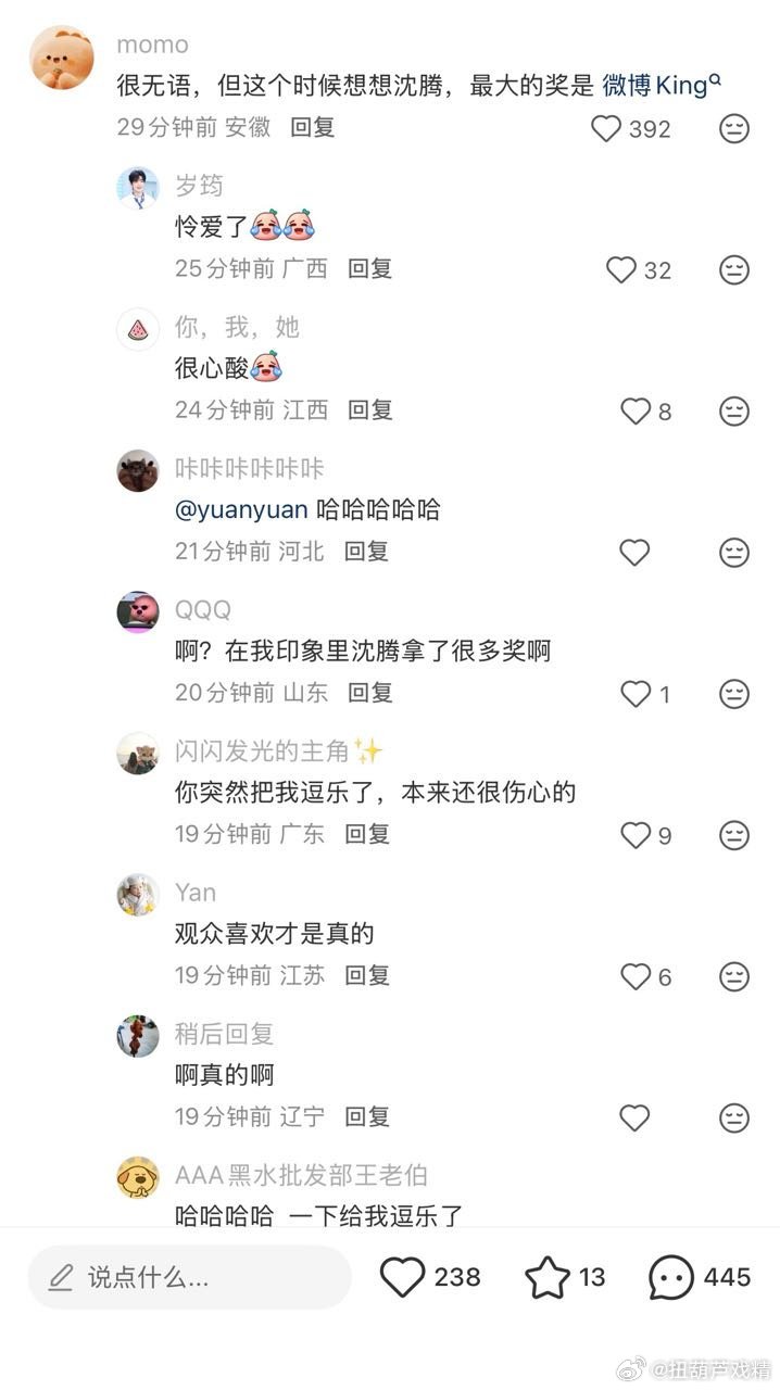 沈腾最大的奖是微博King