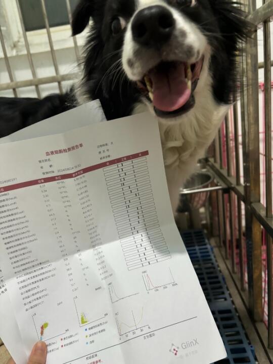 带椰子去体检，医生说要注意的地方真的很多