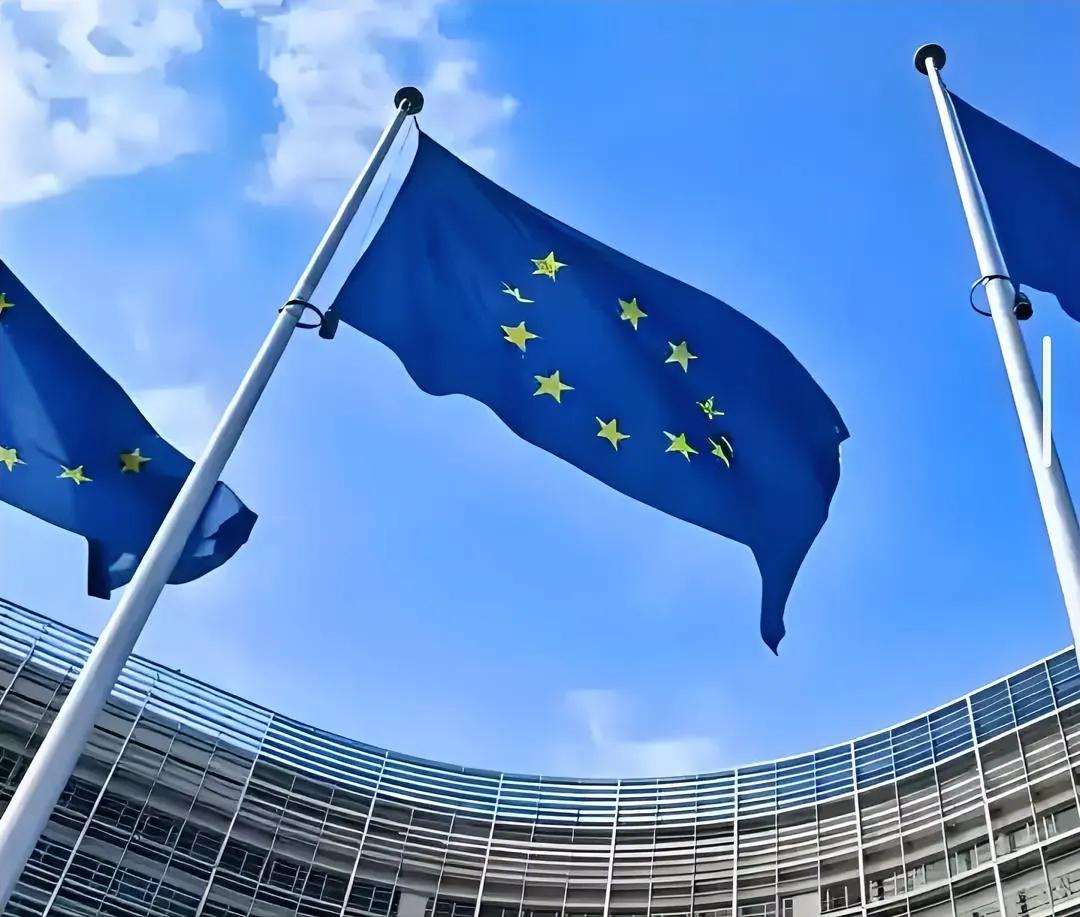 欧盟真是彻底撕破脸了，
原来荷兰这事只是个开始，欧盟针对中国更大的动作还在后面。