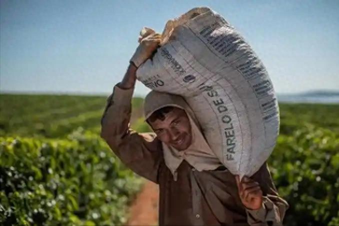 中国退回30万吨阿根廷大豆！
 
最近有艘装着30万吨大豆的货轮，说是从阿根廷来