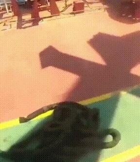“俄罗斯这能还忍下去？”新华社曾报道称，法国总统马克龙在当地时间2026年6月2