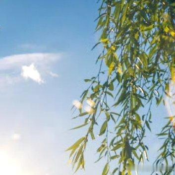 阳光信用‎阳光‎信用 ‎每日一善 不管你现在多迷茫，过得多累，走得多艰辛，请相信