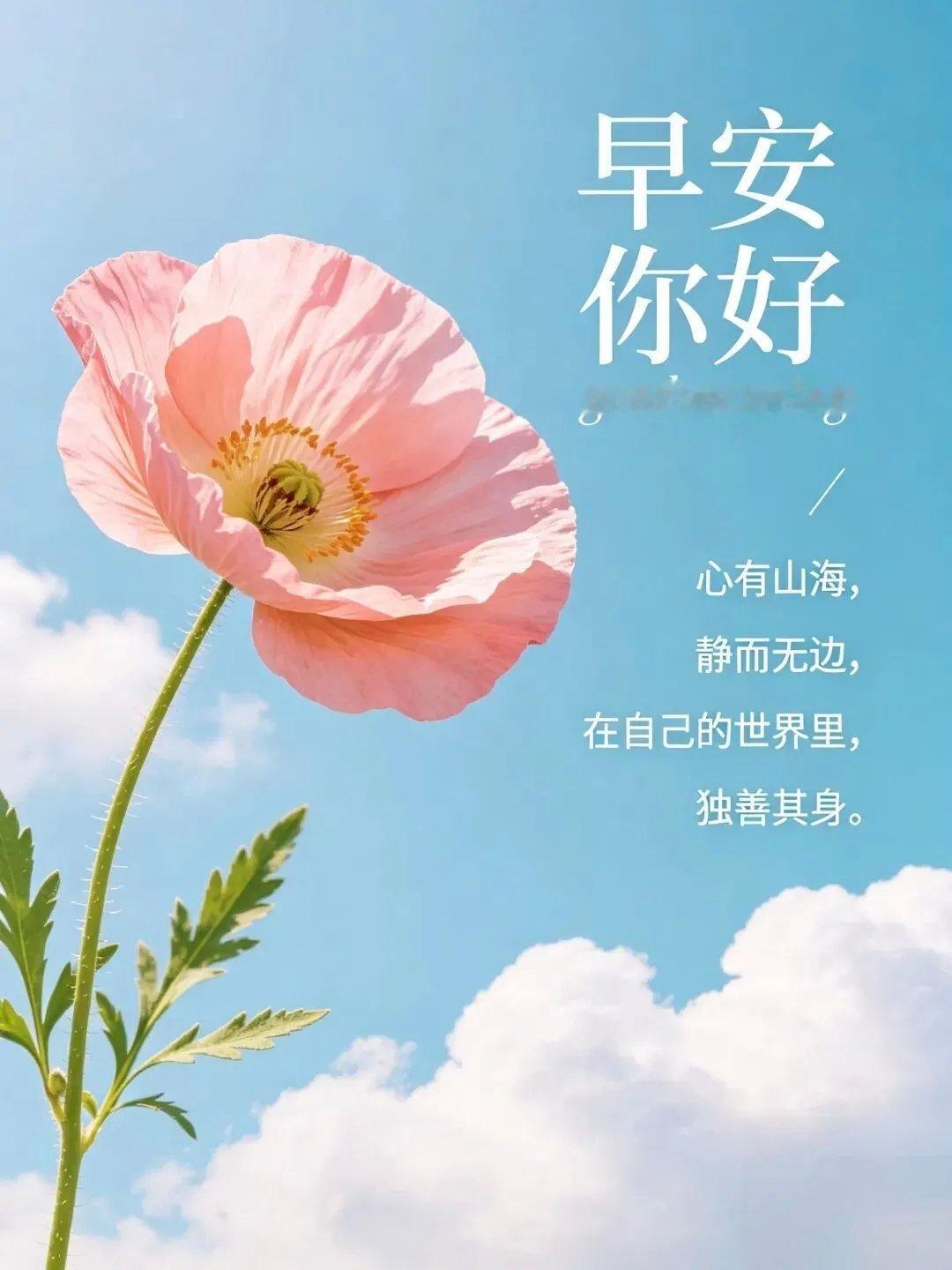 🎈𝒢𝑜𝑜𝒹 𝑀𝑜𝓇𝓃𝒾𝓃𝑔 最好的人生，是按自己的节奏，