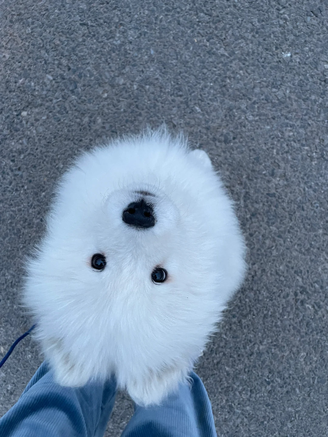 当你凝视深渊时，三孔插座也在凝视着你耶 