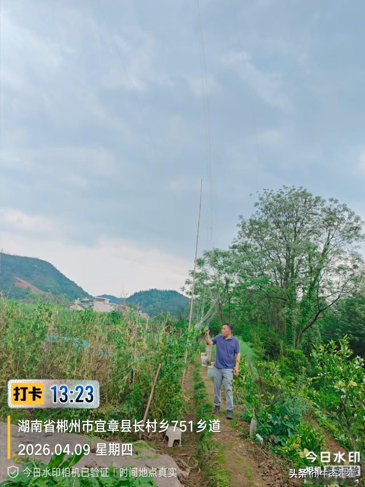 湖南郴州捕鸟网依旧挺立2026年4月9日，中国零鸟网零兽夹零野味零电鱼零垃圾零污