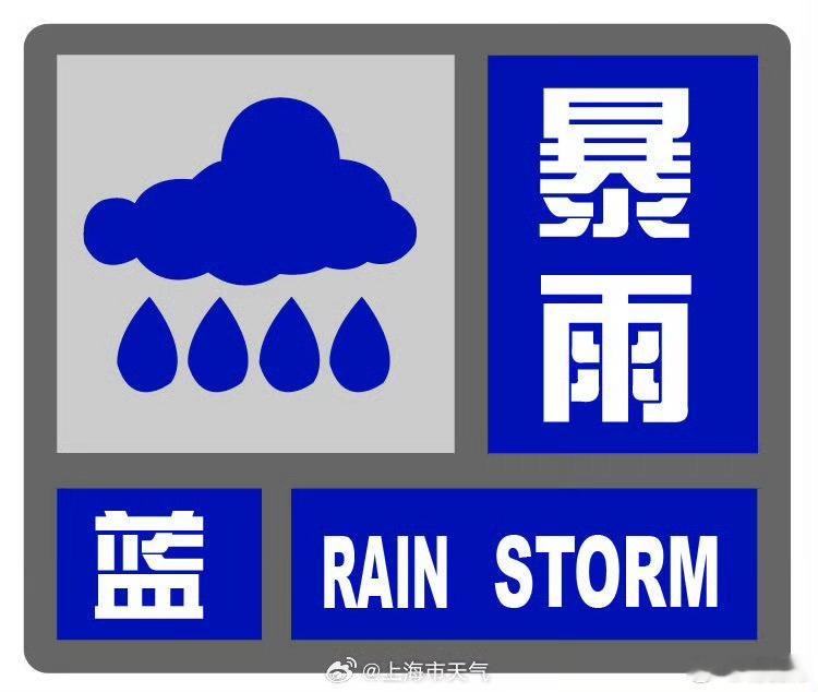 上海暴雨海近期遭遇持续暴雨，今日傍晚前后仍可能有强对流天气，并伴有短时强降水和雷