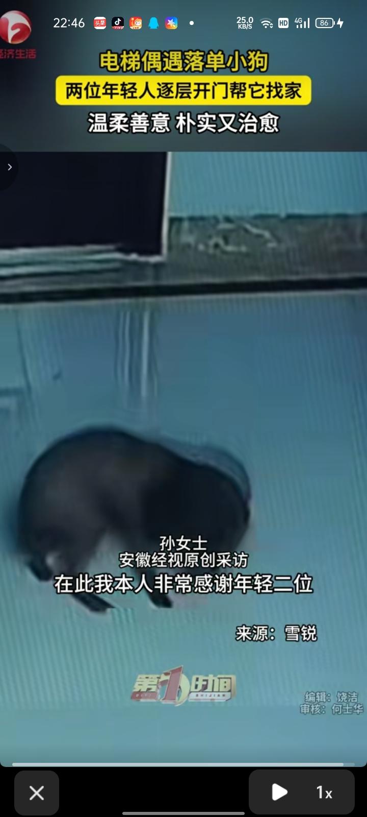 7月4日，山东德州。孙女士的孩子带着自家狗狗乘电梯去地下储藏室取东西，上楼时粗心