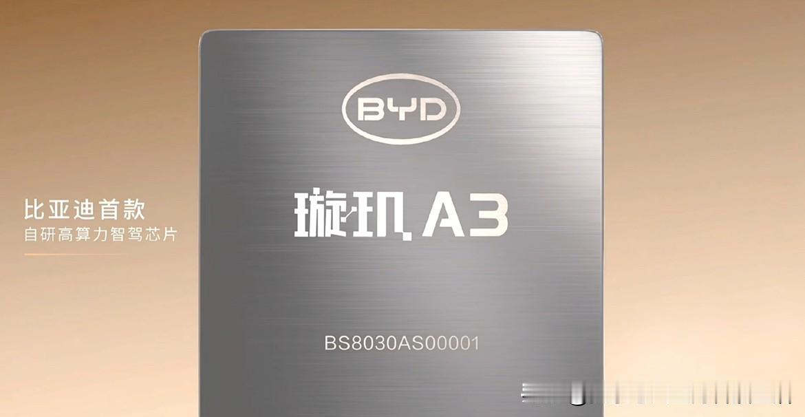 其实我们中国新能源车早就拿下了全球市场和整车制造的话语权，但高算力智驾芯片这块一
