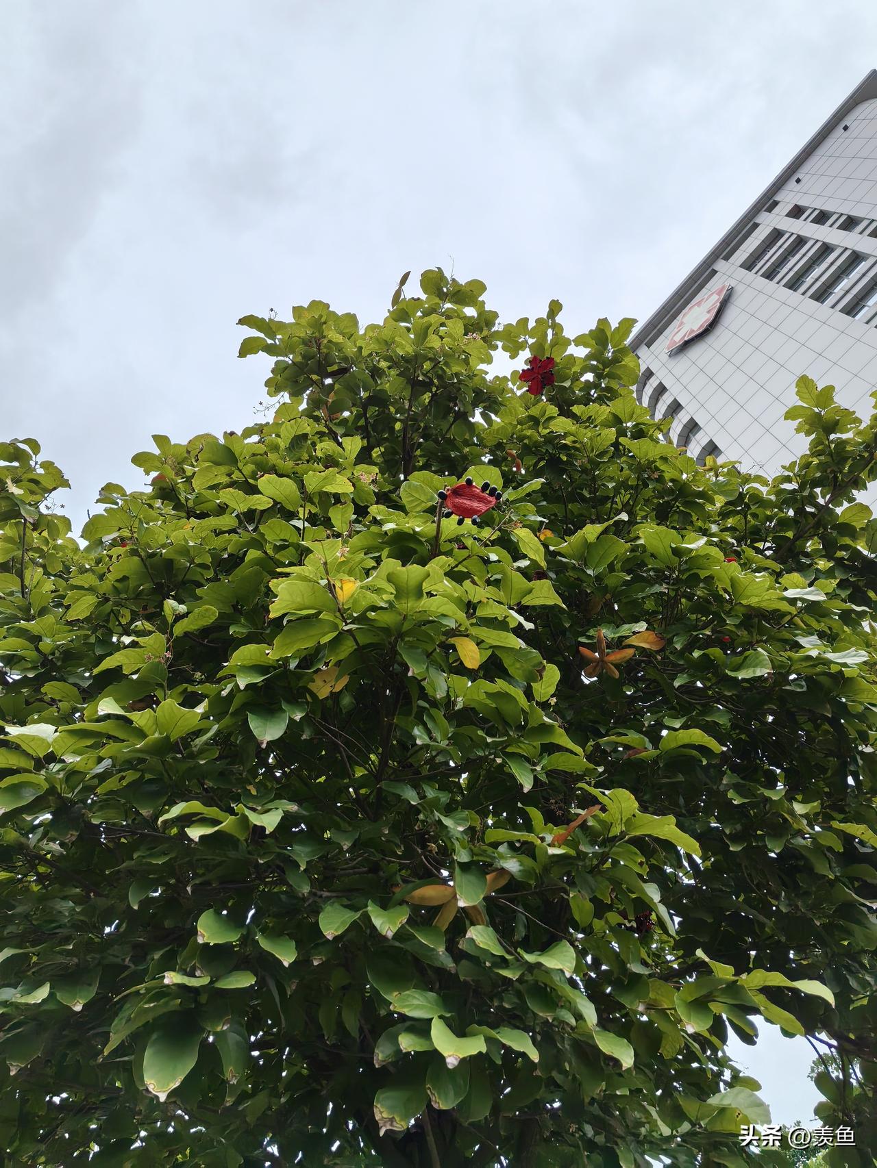 自己选的路，可不可以后悔如果真的可以后悔就好了。。。如果像电视和短剧一样能重生就