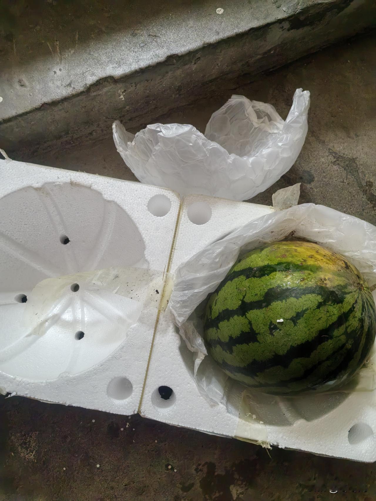 今日拼多多 西瓜到货
    我每次都是十二点以后，迷迷糊糊地躺在床上，边刷手机