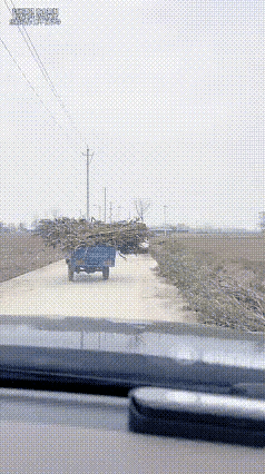 狭路相逢