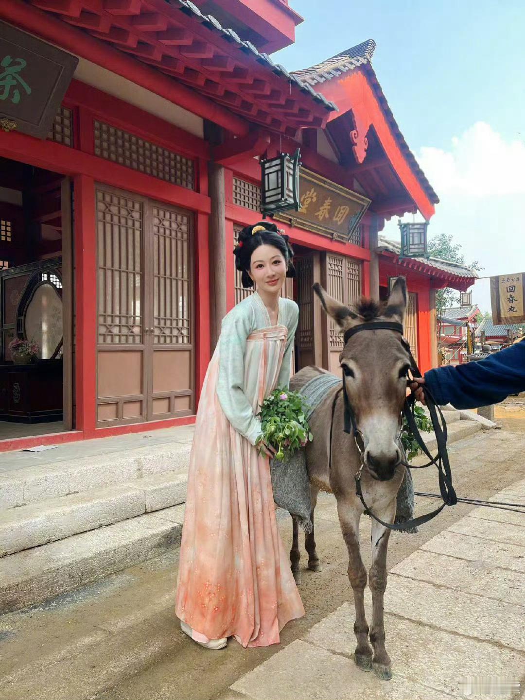 杨紫何惟芳我们芳园再见  国色芳华  何惟芳的故事告一段落了，杨紫真的是很真诚的