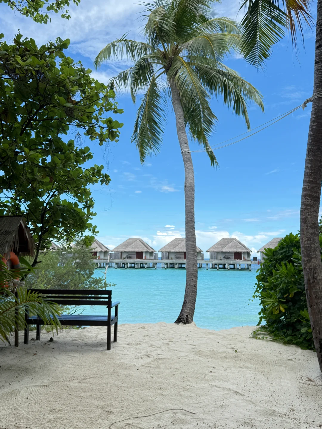 马代🇲🇻选岛 成功| 都喜天阙不踩雷！