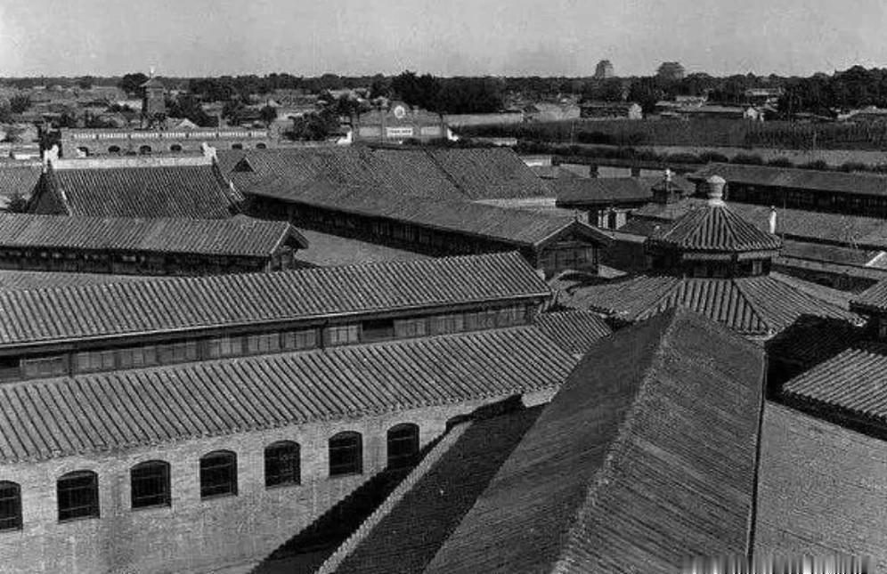 1959年,功德林战犯刘嘉树半夜去直沟解大便。当他缓缓蹲下去的时候，他确信厕所只