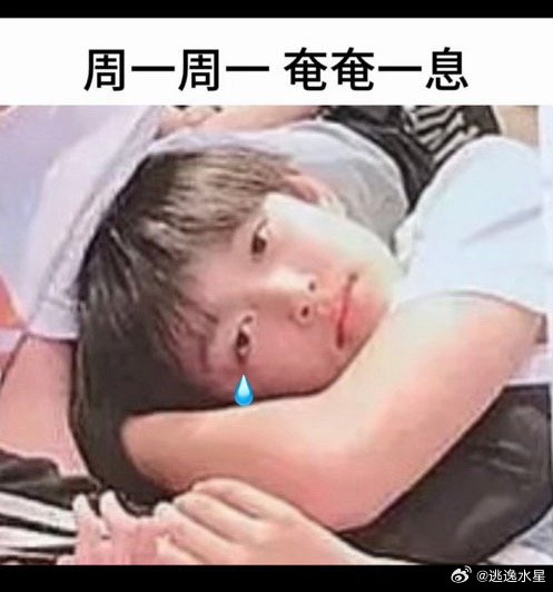 周一状态belikePrada品牌大使张极prada品牌大使张极