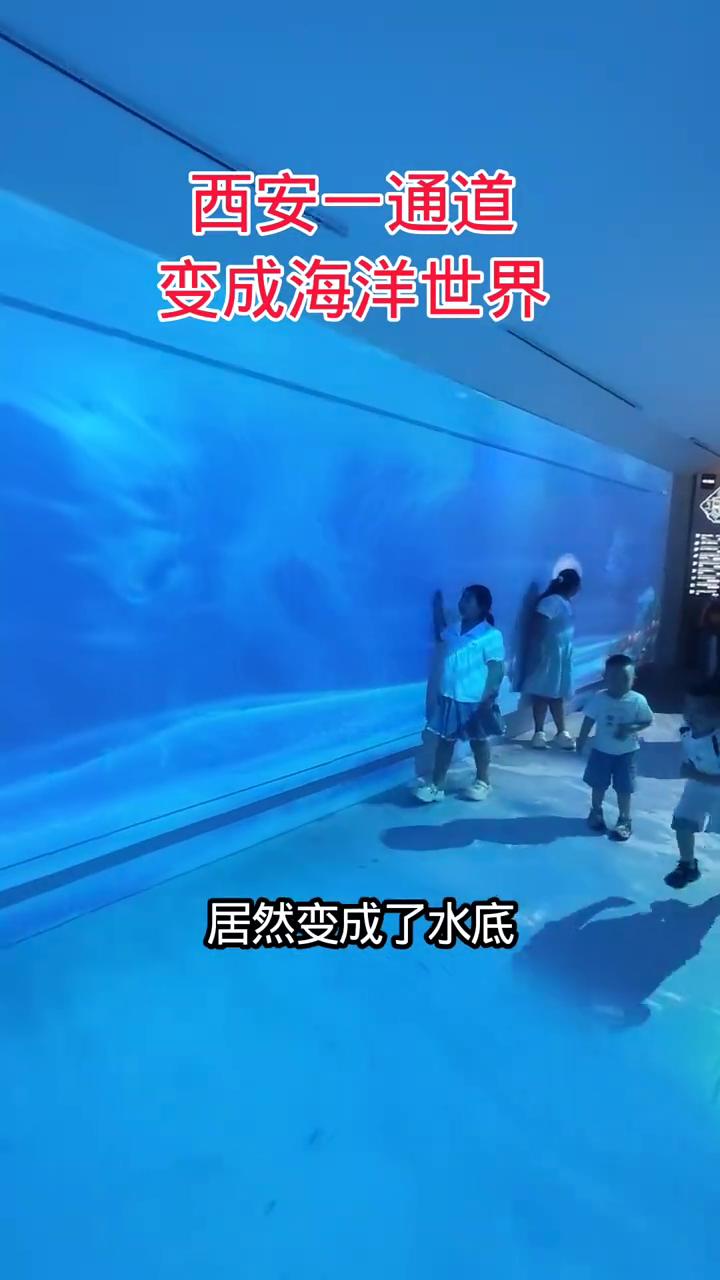 西安一通道变成海洋世界。
你能想象到不？这个地方居然变成了水底海洋世界。更有意思