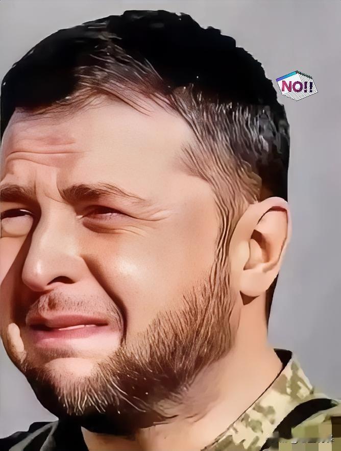 乌克兰传来消息！4月28日，乌克兰议会以319票赞成的压倒性结果，通过了泽连斯基