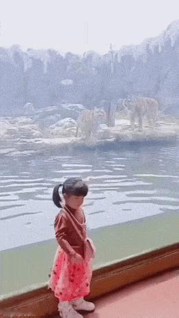小朋友：我跟你拍照，你却只当我是猎物 ​​​