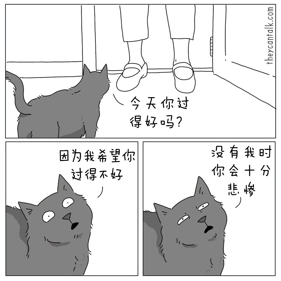 有时候我想社交，但是又不想说话，只想像只猫一样呆在旁边 