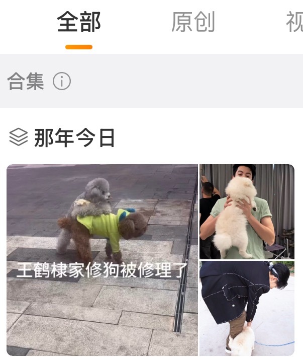 哈哈哈哈哈哈哈哈 