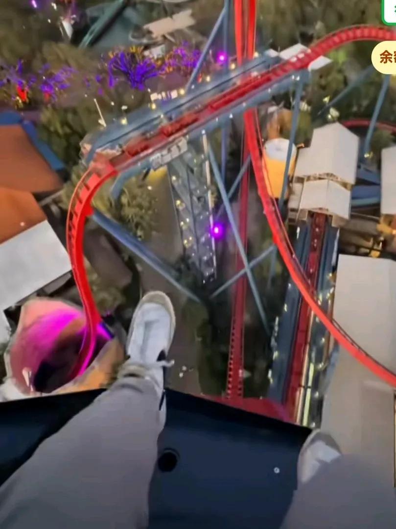 男子途经过山车下方，呕吐物从天而降滴在羽绒服上，起诉游乐园索赔2.8万余元，法院