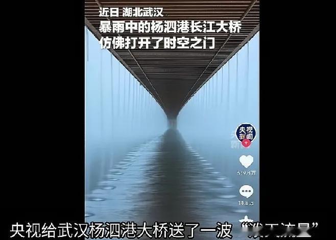 吃相真难看！
武汉杨泗港大桥因为一段“暴雨中的时空之门”视频爆火
泼天的流量才起