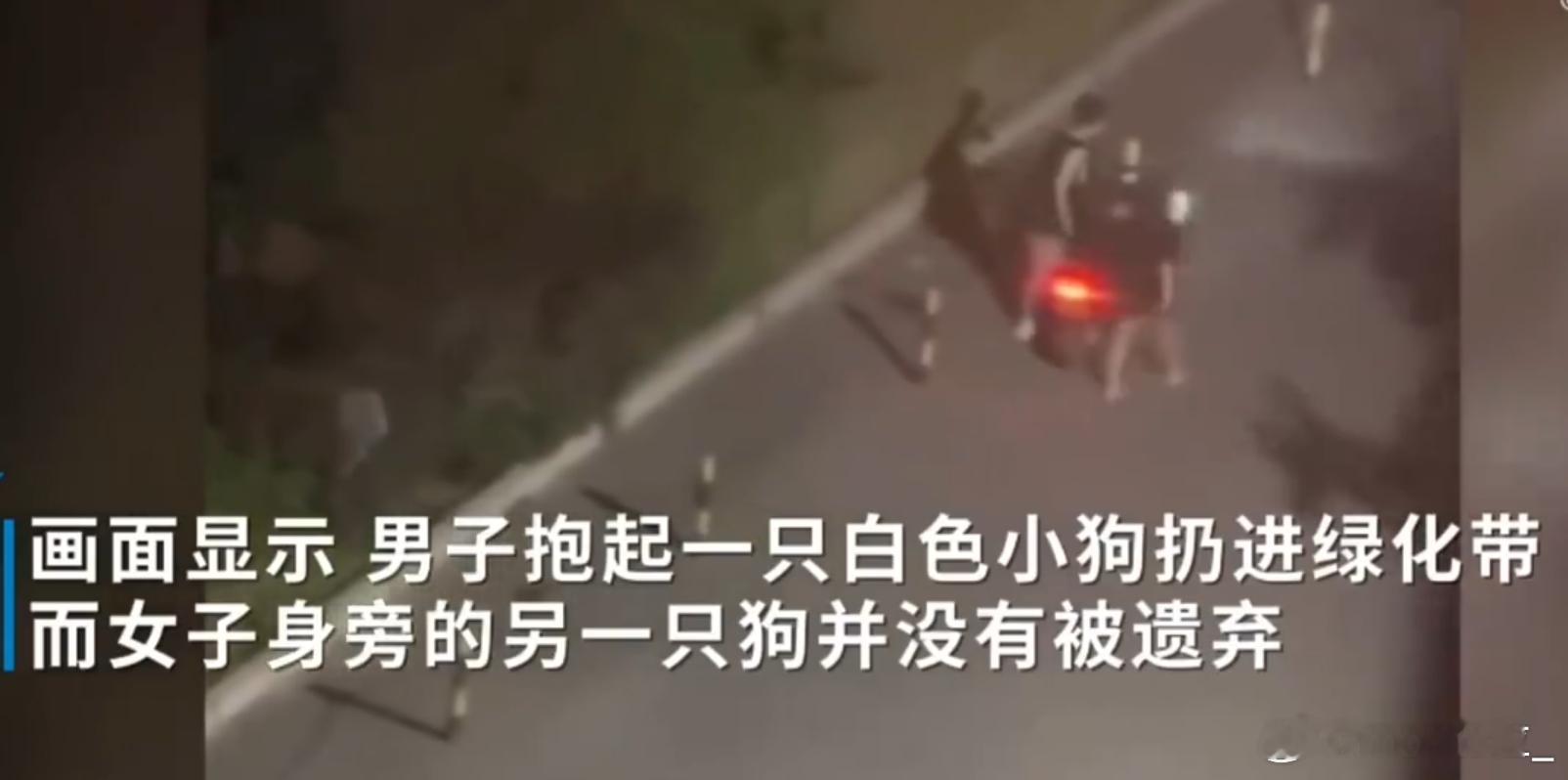 小狗遭主人2次扔弃哀嚎仍被丢 国内就应该和国外一样，规范养宠程序，严格卡养宠资格