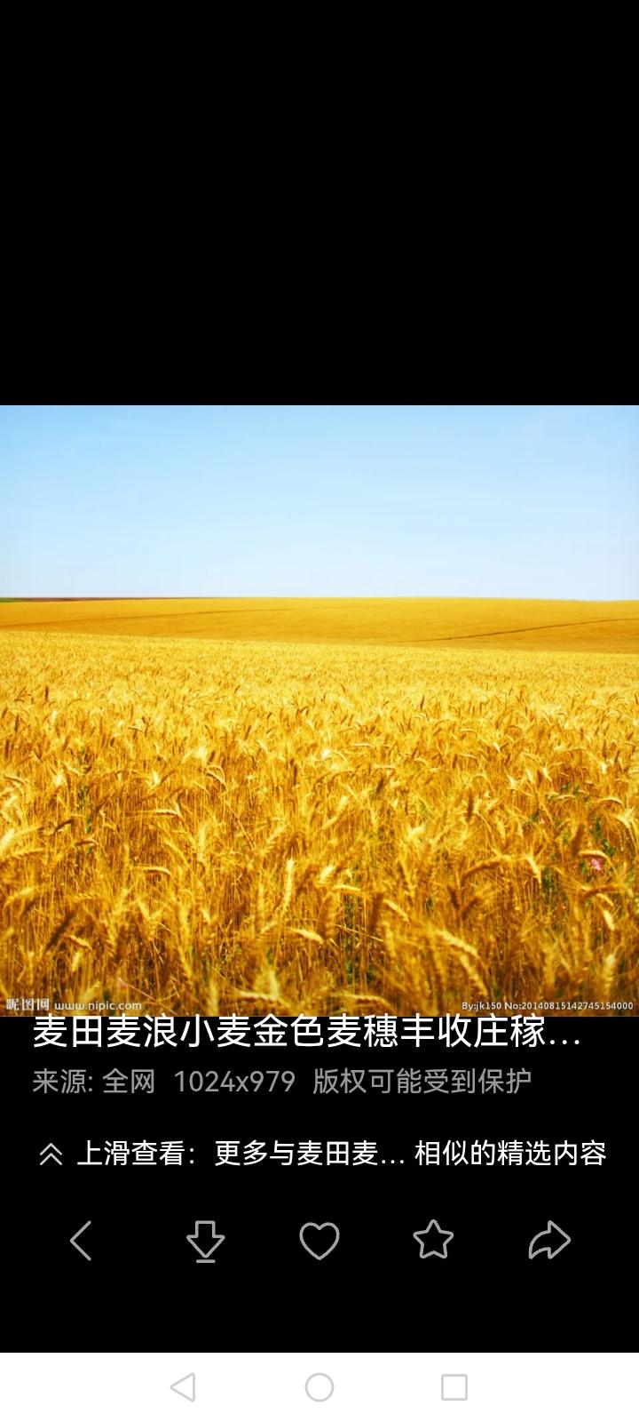 为何粮食烧毁统计量会增多做为一个农民这样的道理还是知道的，粮食，无论是小麦，玉米