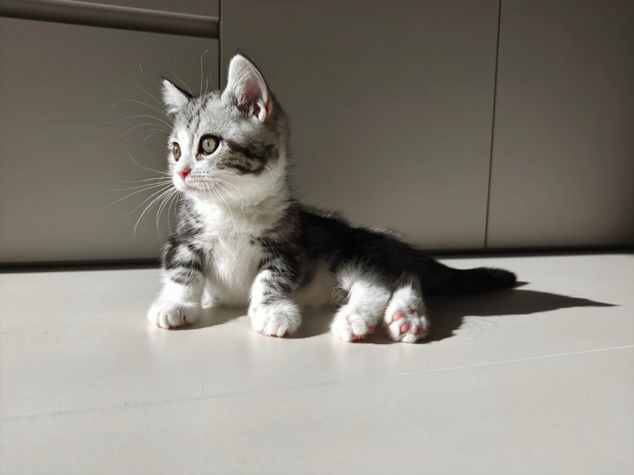 思想永远在前面领航。只有两种思想架构，只为两个目的而服务，分离与合一。这两种思想