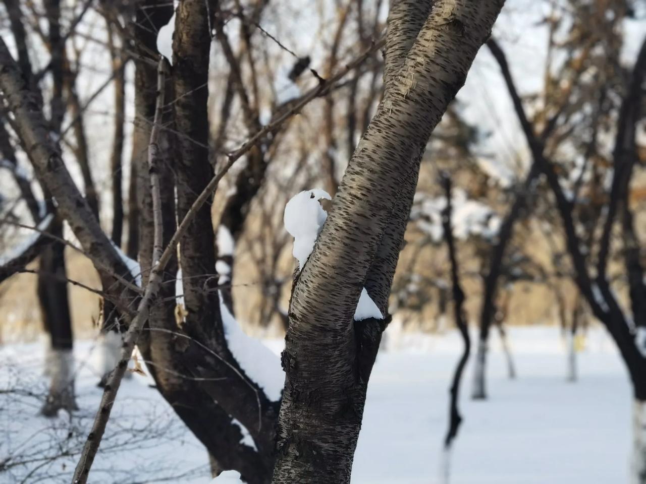 用热爱美的心情，发现美的眼睛，去欣赏大自然赋予我们的一切，就会拍出独一无二的好照
