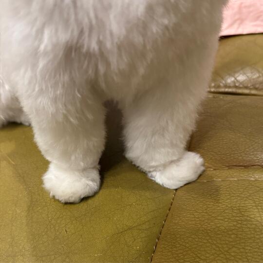 圆圆小手