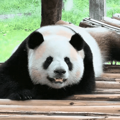 莽小五遇到了什么大喜事？五阿哥是升职还是加薪了？
莽小五的一张脸笑得稀烂[呲牙]