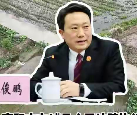 荣誉未凉便落马！南阳方城法官麻俊鹏被查，11年庭长路终踏错深渊
2026年5月1