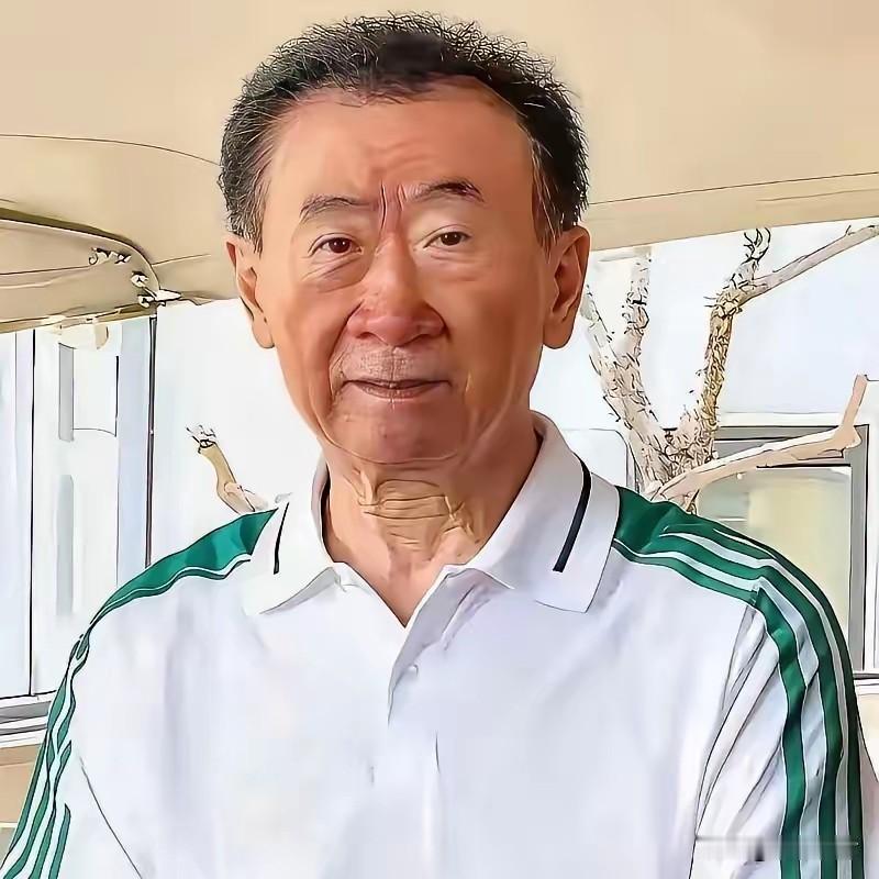 王健林到底负债了几千亿？几年前网上就说负债6000亿，为了还清负债，王健林这几年