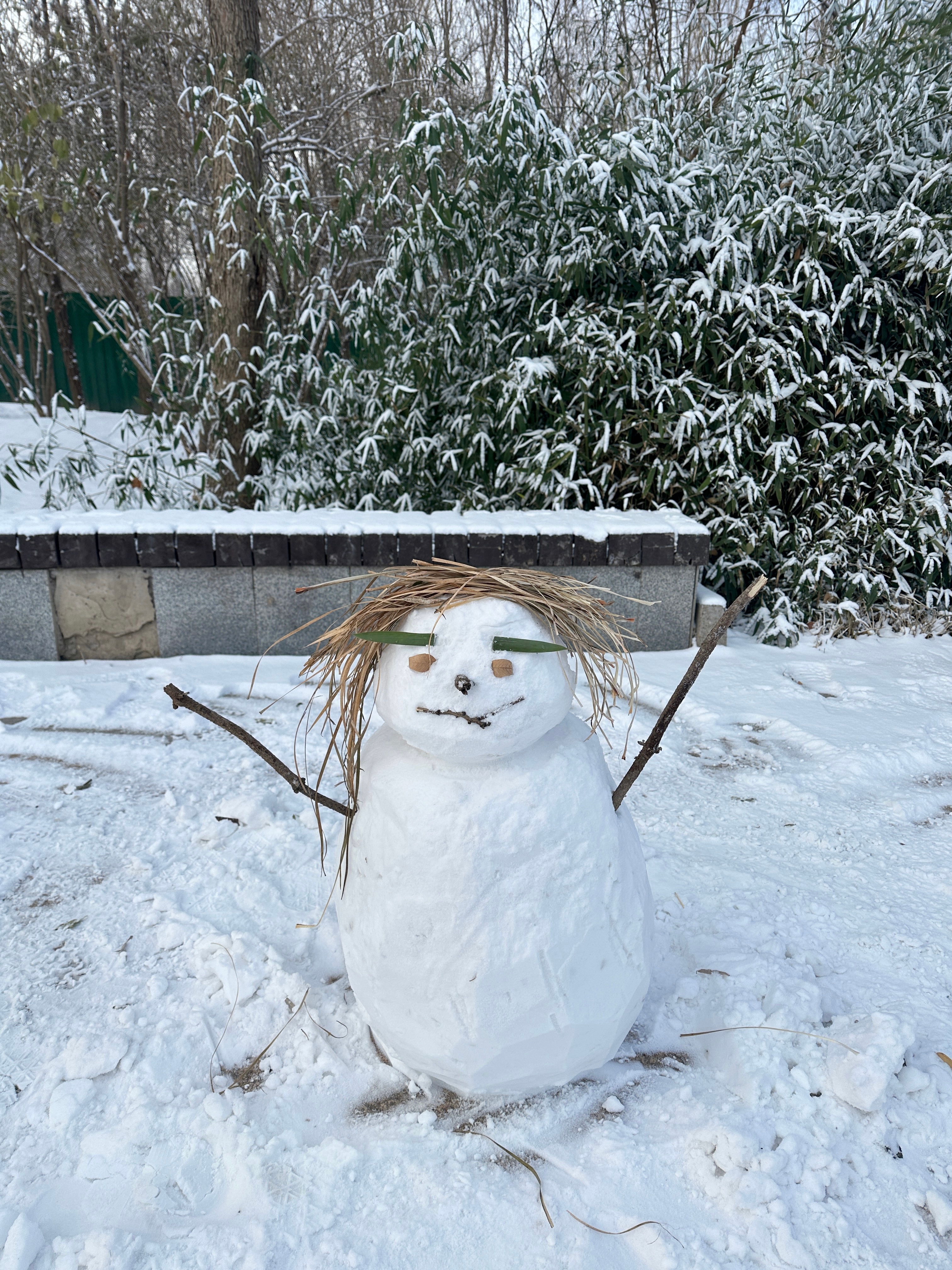 下雪了 大地变成画板咯🧑🎨非正式跨年派对