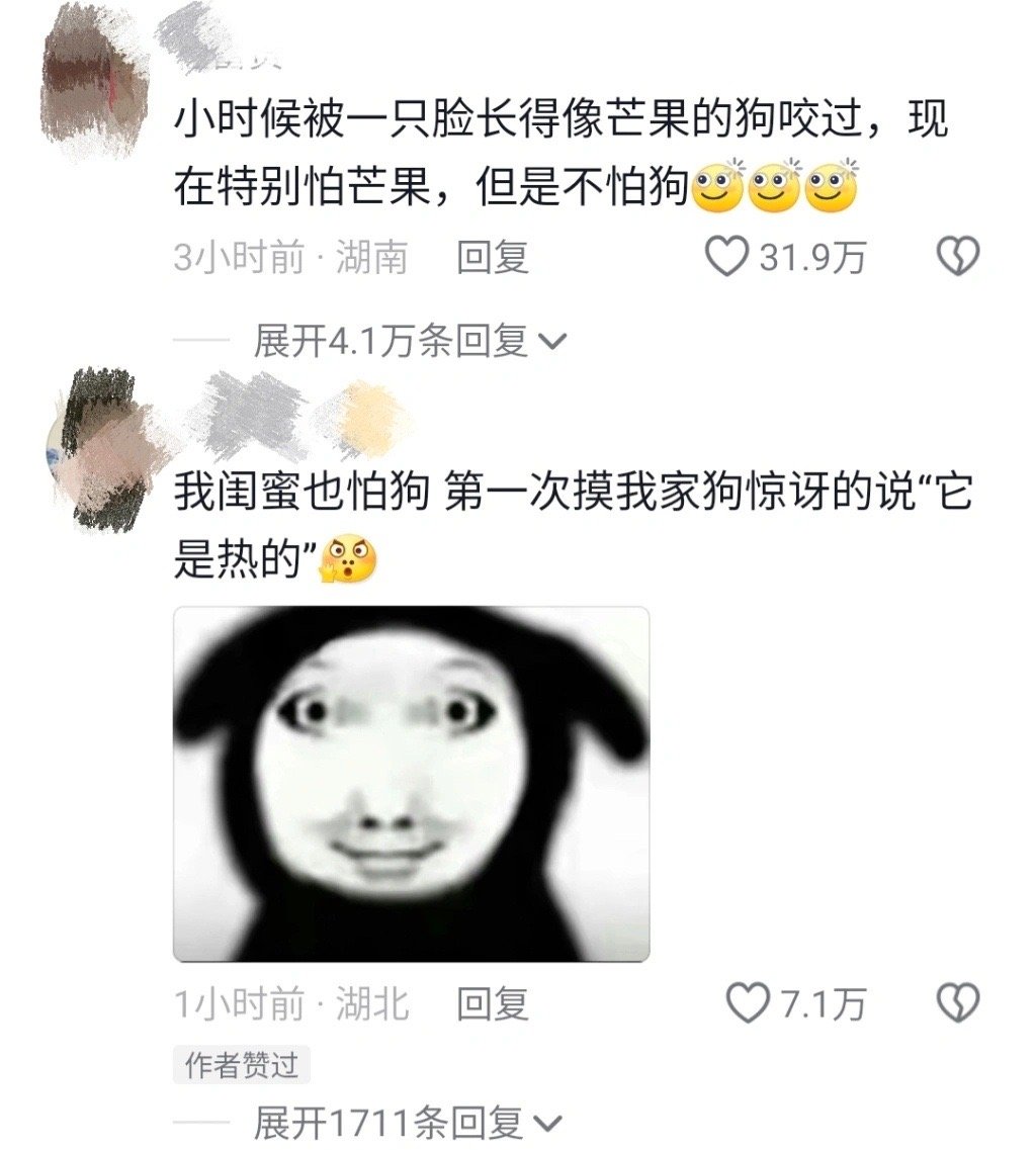 当怕狗的朋友第一次摸狗的反应be like哈哈哈哈哈哈 ​​​
