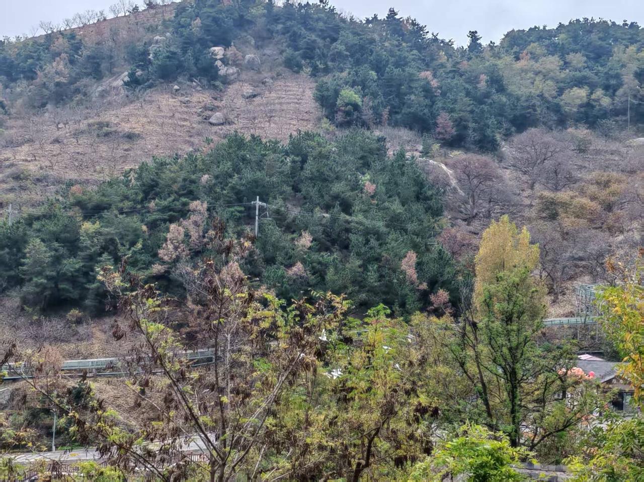 ​我看电影，小时候的看电影的感觉，至今找不到了。我可能在怀念那个时光。小时候追随