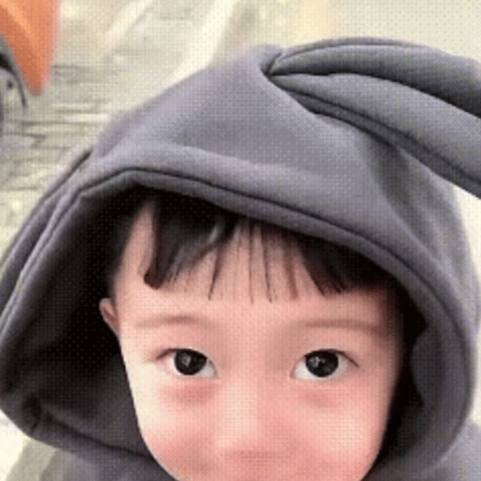 分享图片 
