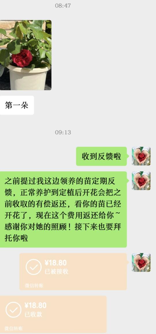 离鹭卓希望的花开遍家又更近了一步啦~