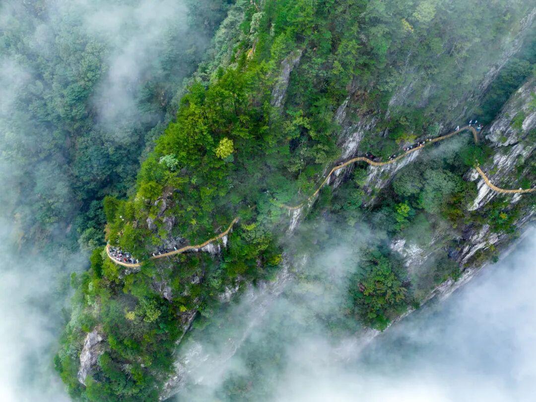 宜春明月山：揽月青山，康养仙境
 
“莫以宜春远，江山多胜游”，藏于赣西大地的明