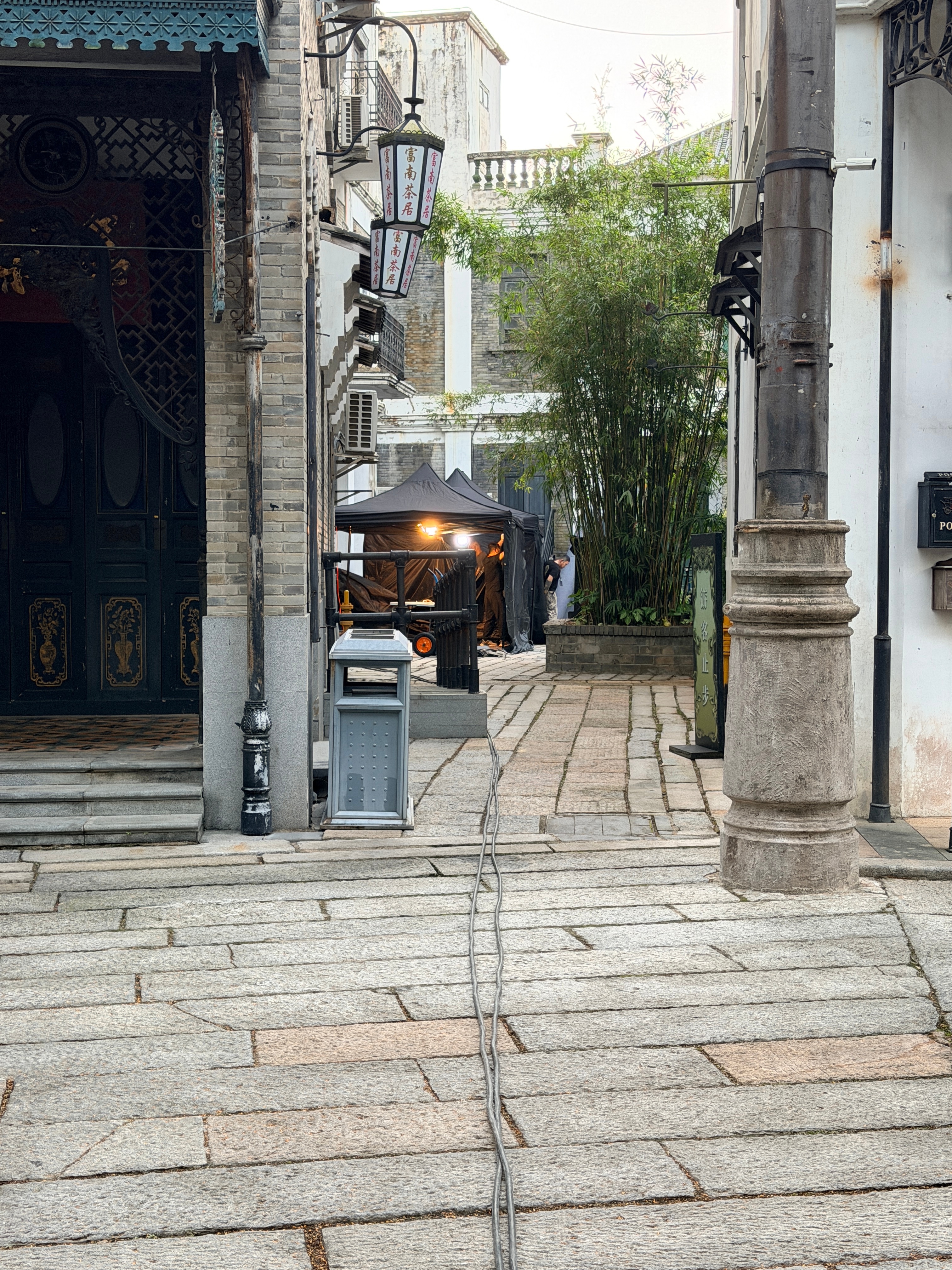 坐等玉兰花开君再来今日开机 