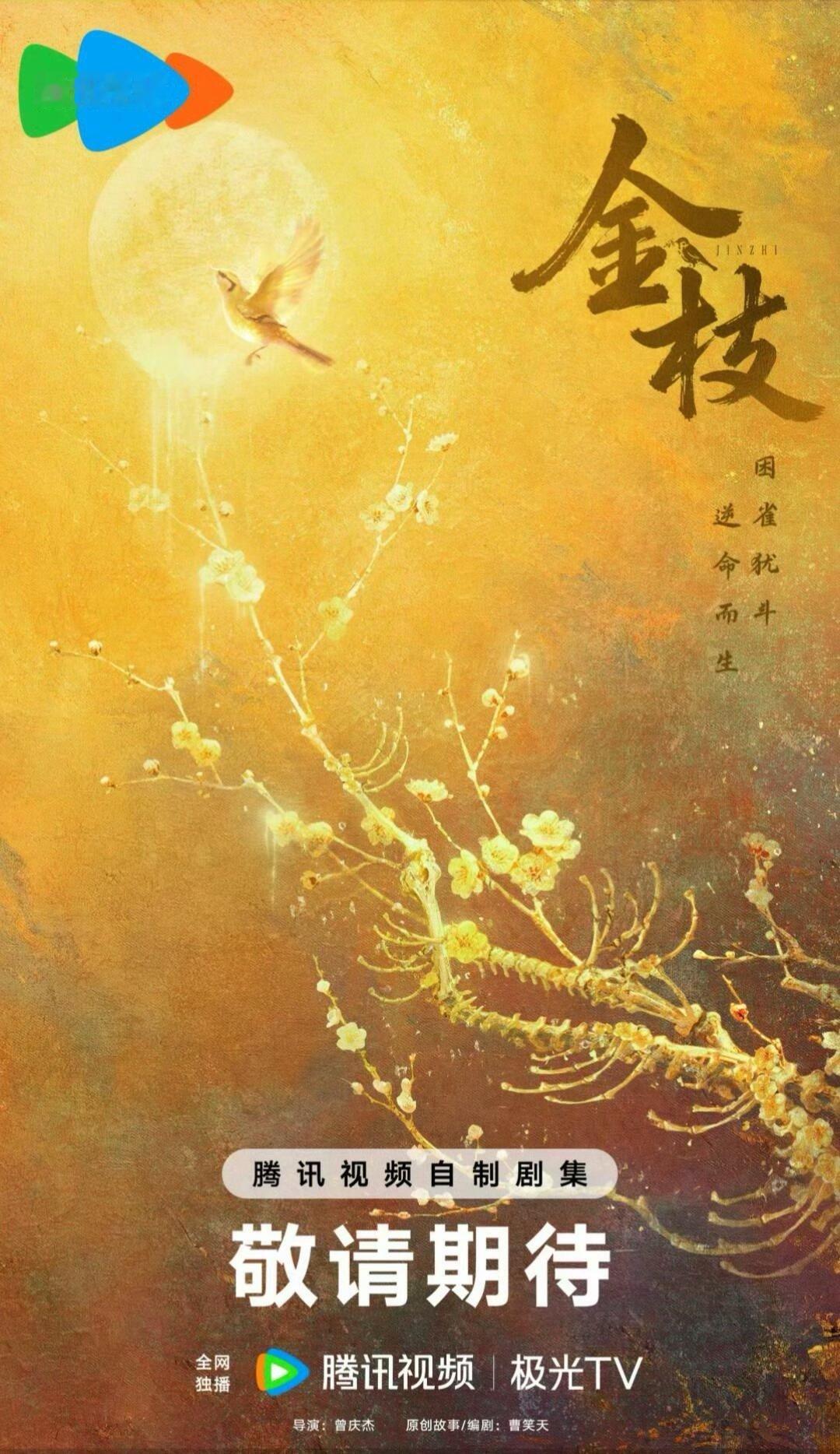 《金枝》番位，李一桐一番金枝｜ 