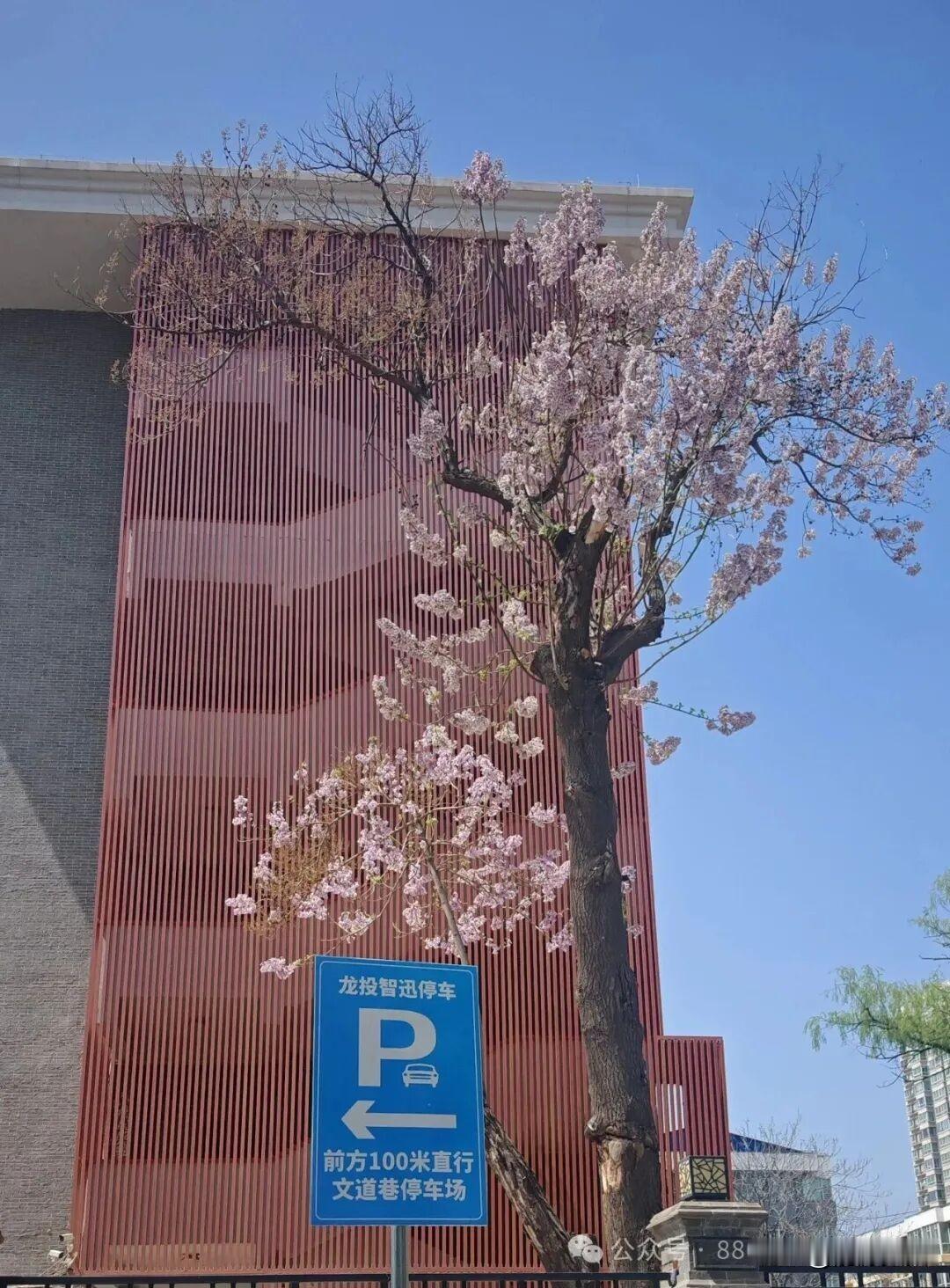 太原市龙城智迅停车资源管理有限公司位于太原市文道巷的学校共享定点停车场，推出接送