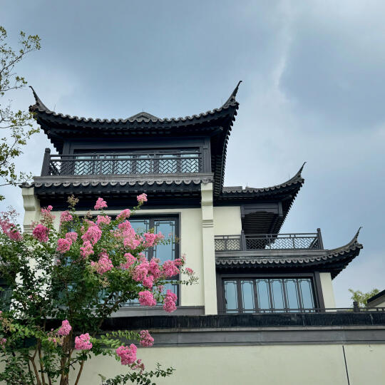 装修博主即将上线~ 爸妈把任务交给了我跟董博了，我果断把任务交给了董博...