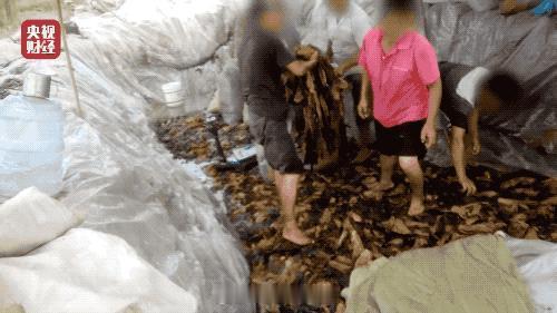 额我记得才爆出来没多久呀，怎么又来了，真的是一点不改呀我还以为反向思维，刚爆出来