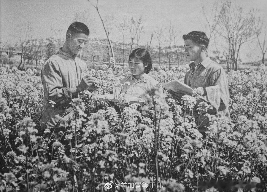 “湖北省浠水县望城公社十月大队学习唯物辩证法，实行科学种田。”1970 