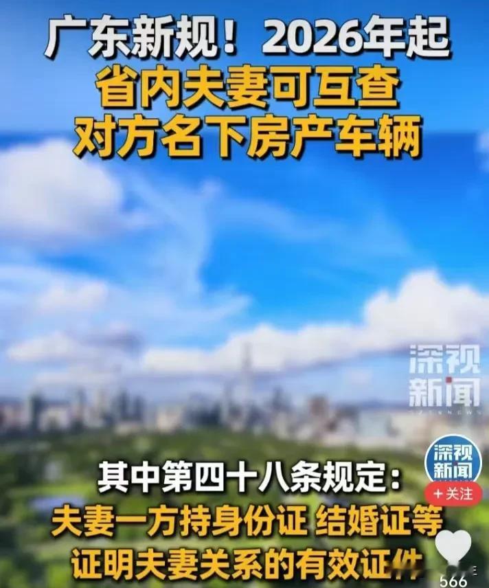 广东重磅新规：2026年起夫妻可互查财产，婚姻透明度再升级，广东夫妻财产互查政策