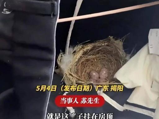 5月4日报道，广东揭阳，一名男子把一条深色长裤晾在屋顶整整一个月，没想到裤子里面